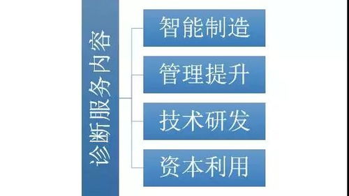 我市啟動倍增企業全方位全流程診斷服務，助力網絡技術研發及技術服務企業高質量發展